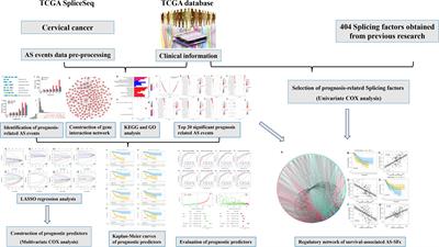 Prognostic Value and Potential Role of Alternative mRNA Splicing Events in Cervical Cancer